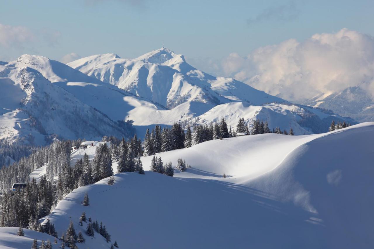 House Of Huetter - Wachtelhof & Spa Maria Alm am Steinernen Meer Eksteriør billede